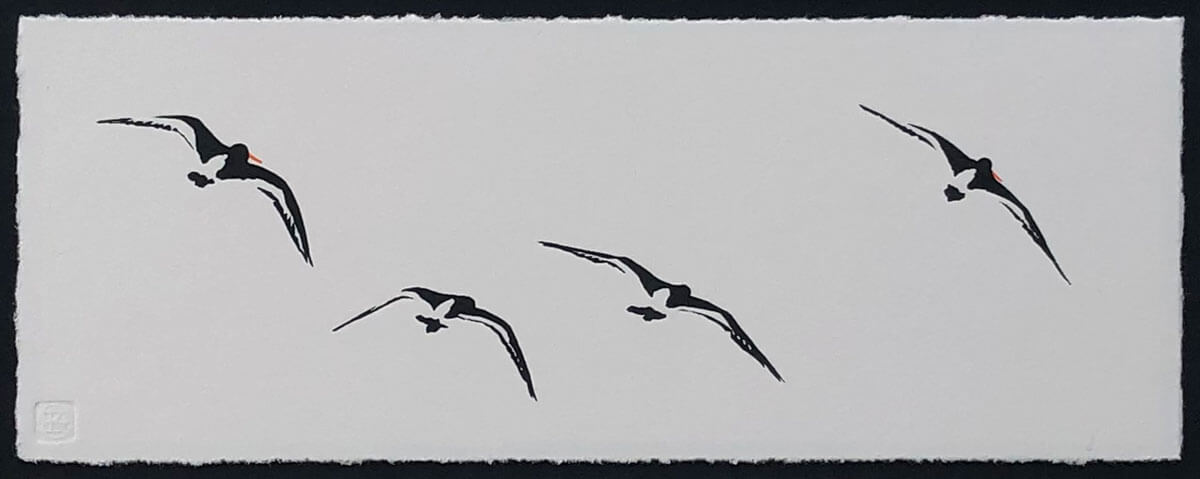 Oyster Catchers (monochrome) linocut print by Claire Cameron-Smith