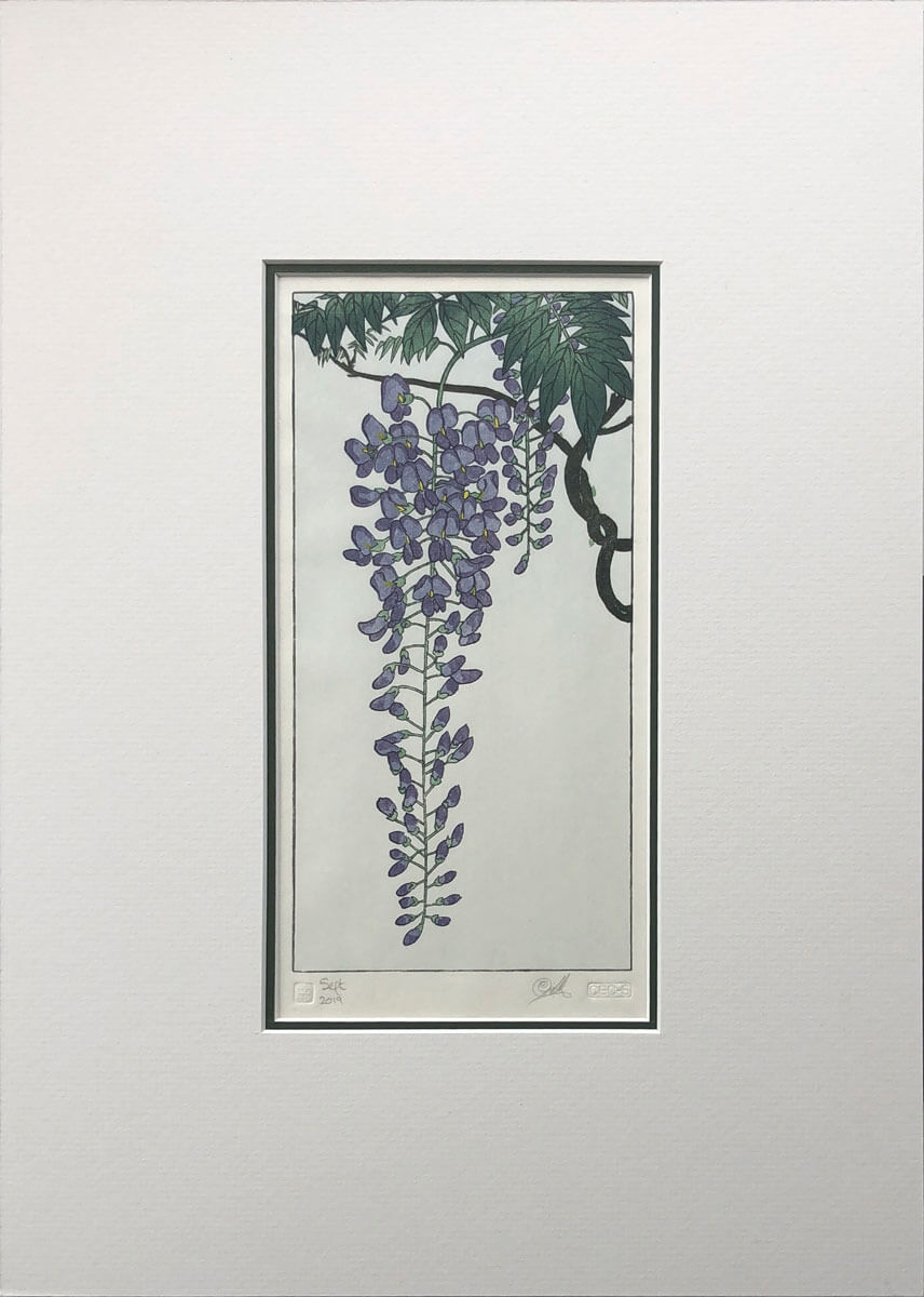 Flowering Wisteria after Koson woodblock print mounted by Claire Cameron-Smith