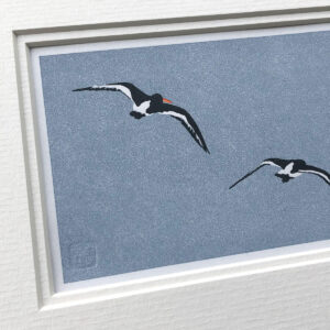 handmade linocut print of black and white oyster catcher birds in flight against dark blue sky background