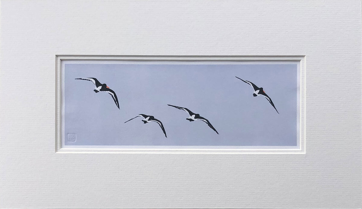 Oyster Catchers (pale blue) linocut print mounted by Claire Cameron-Smith