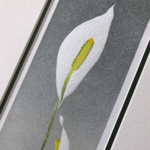 handmade linocut print of a peace lily plant with two white blooms with green leaves against a graded grey background