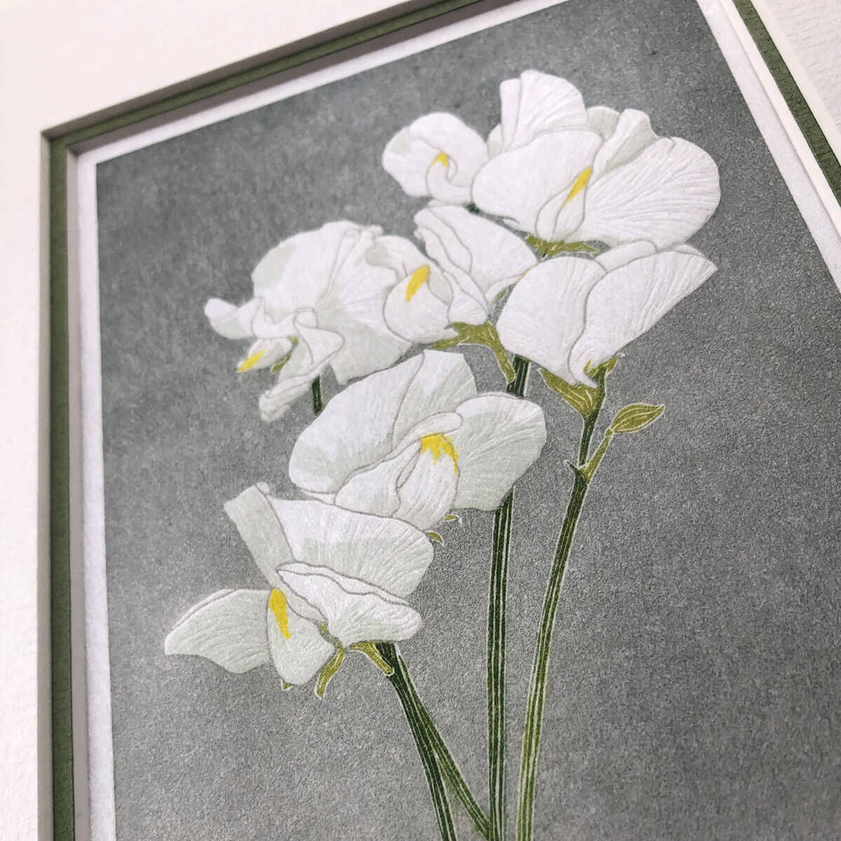 handmade print of white sweetpea flowers against graded grey background