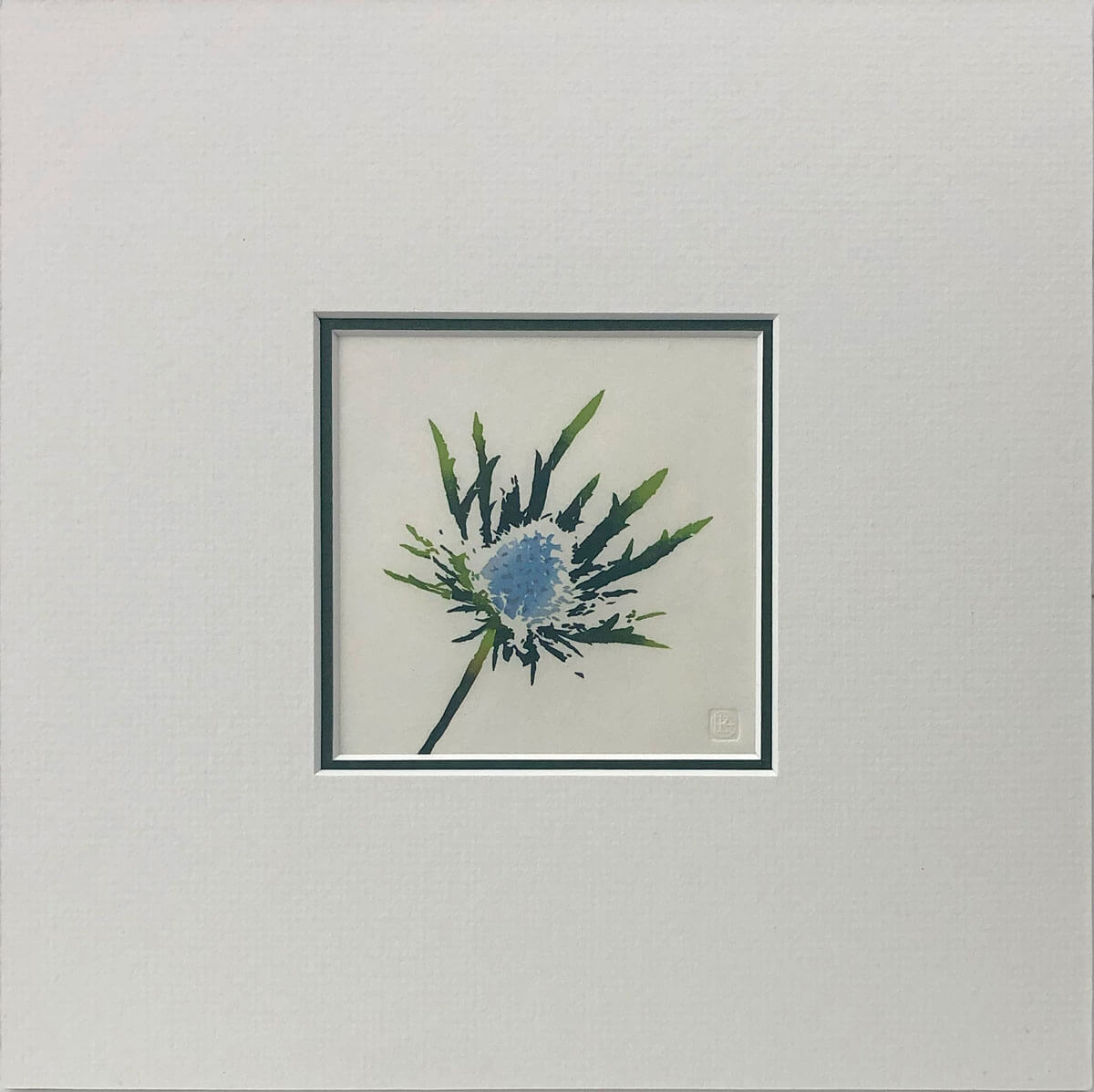 Eryngium woodblock print mounted by Claire Cameron-Smith