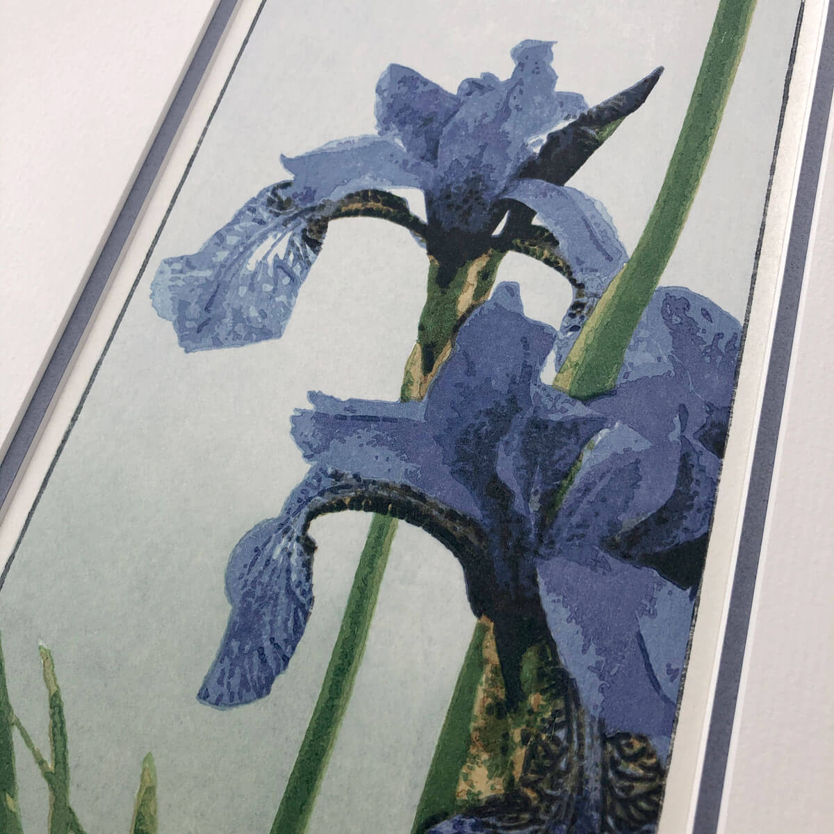 handmade limited edition woodblock print of purple iris flowers and green foliage against a graded pale blue green background