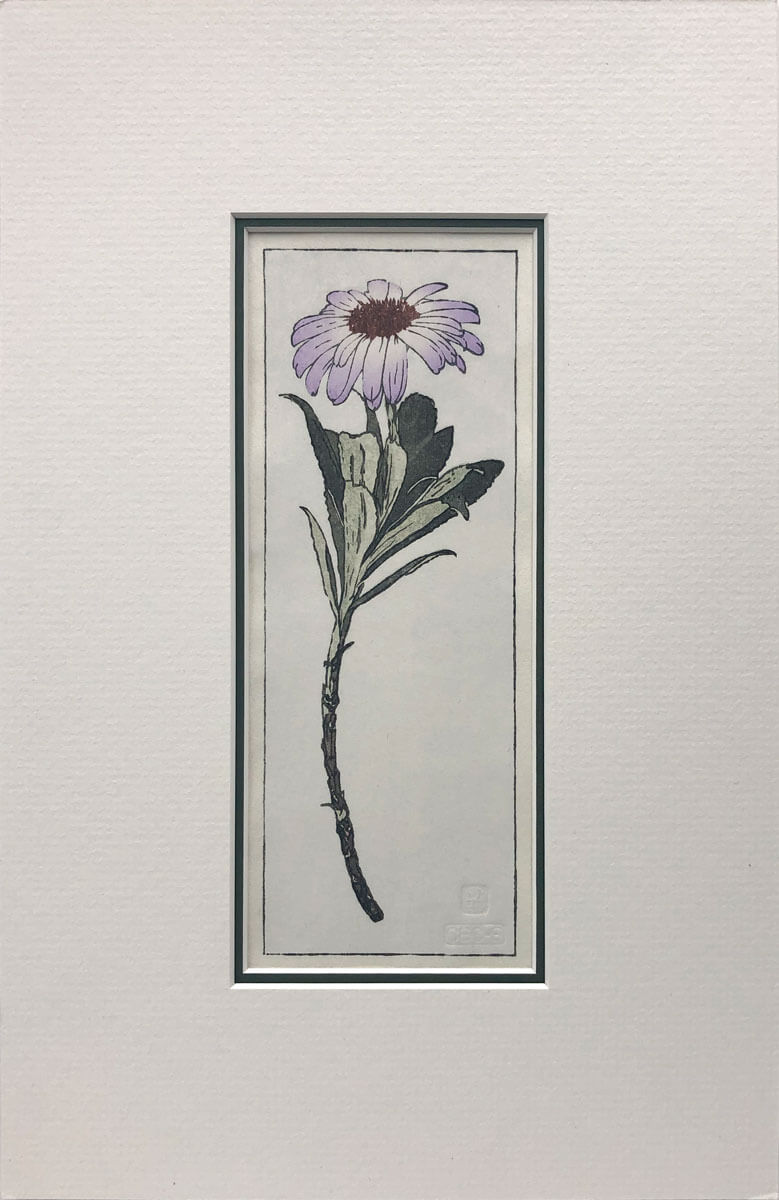 Olearia Semidentata woodblock print mounted by Claire Cameron-Smith