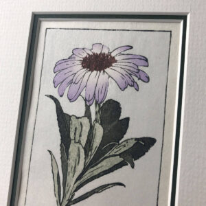 handmade woodblock print of a purple daisy flower with leaves from olearia semidentata New Zealand Tree Daisy against pale blue grey background
