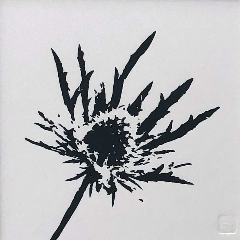 Sea Holly woodblock print by Claire Cameron-Smith