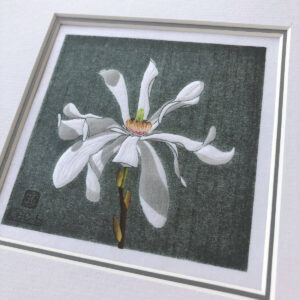 handmade woodblock print of a white magnolia stellate flower against a green background