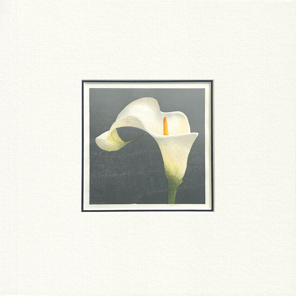 arum lily dark version mounted print
