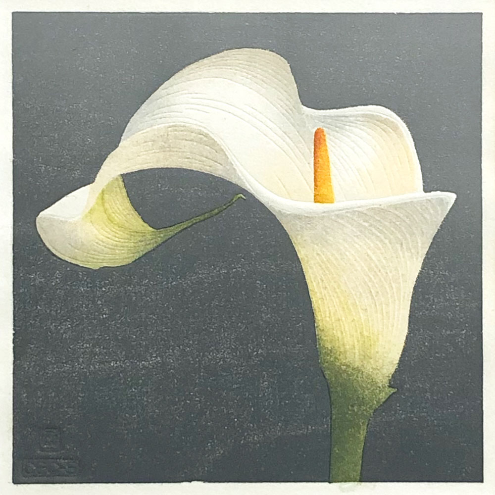 arum lily woodblock print dark grey version by Claire Cameron-Smith